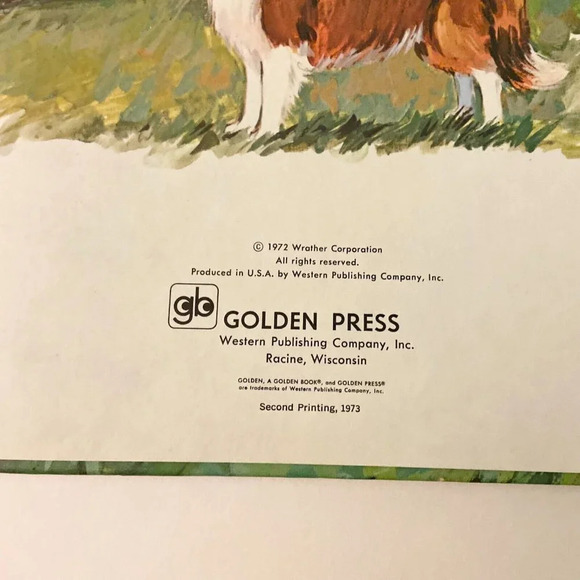 Vintage 1973 Lassie And the Secret Friend A Golden Book  by Kennon Graham - Picture 8 of 16